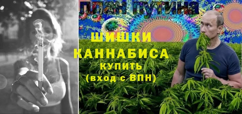 где можно купить наркотик  Валдай  гидра рабочий сайт  Конопля Amnesia 